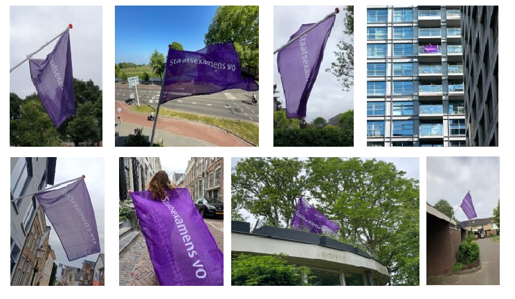 vlag staatsexamens vo